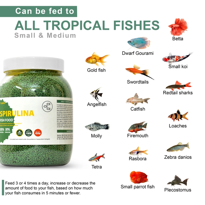 Tunai 31% Spirulina Fortified Optimum Choice Fish Food For Gold Fish, Angelfish, Molly, Tetra, Dwarf Gourami, Sword Tails, Catfish, Firemouth, Rasbora, Small Parrot Fish, Betta, Small Koi, Redtail Sha