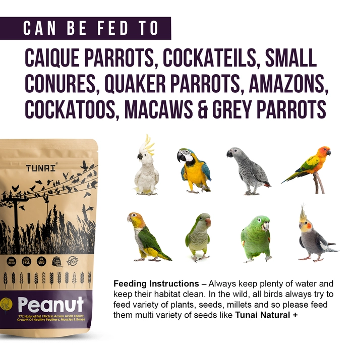 Tunai Peanuts Bird Feed | 450g | Excellent Bird Food For CAIQUE PARROTS, COCKATEILS, SMALL CONURES, QUAKER PARROTS, AMAZONS, COCKATOOS, MACAWS, & GREY PARROTS, High in Calcium, Potassium And Other Nut