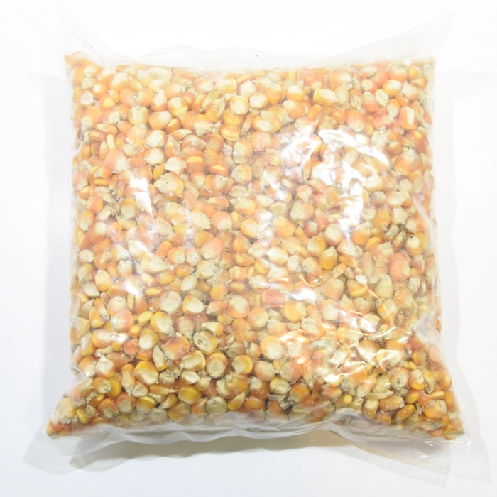 Yellow Maize Seeds