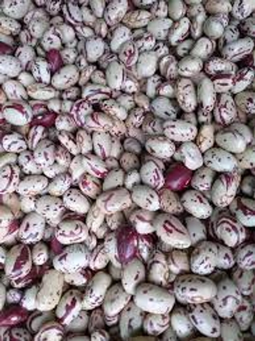 Masavu Beans