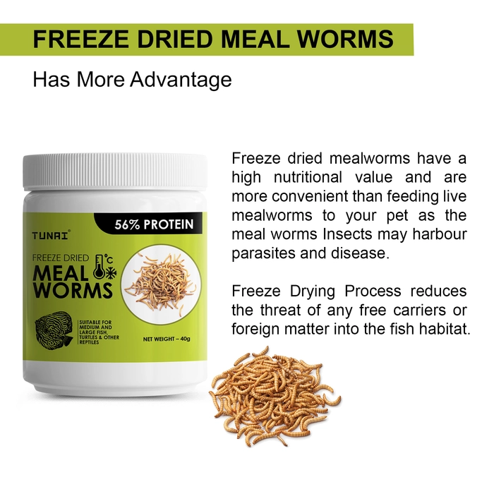 Tunai Freeze Dried Meal Worms |40g| Pefect Fish Food Treat for Medium and Large Size Aquarium Fish Like Arowana, Oscar, Red Parrot, Flower Horn, Can Be Also Fed to Turtle, Tortoize and Other Reptiles