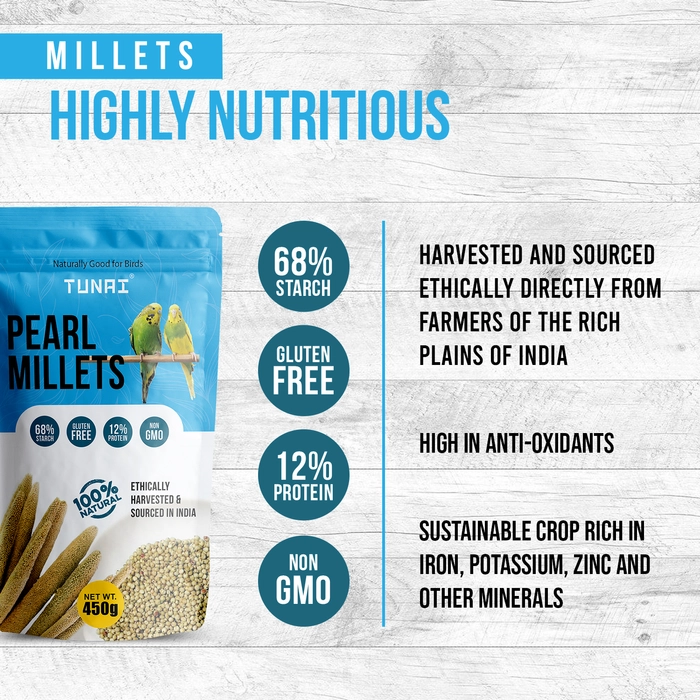 Tunai Pearl Millet | Perfect Bird Feed For Regulating Digestion, Easing Stress And Great Treat During Weaning And Breeding superior Bird Food For All Budgies, Finches, Cockatiels, Conures, Love