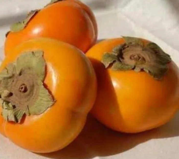 Persimmon