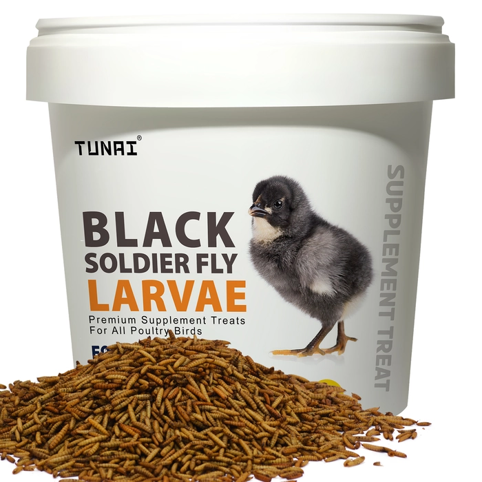 Tunai Black Soldier Larvae | 500g | 60X Calcium, Fortified with 40% Protein Energy, Natural Supplement Treat for Poultry, Hen, Chicken, cockBaby Chicken