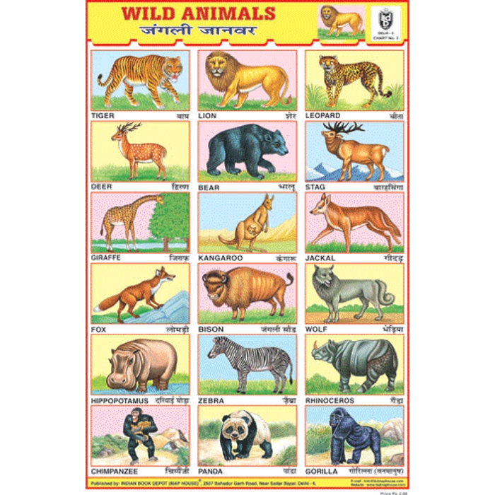 Buy Online: Picture Chart of Wild Animals