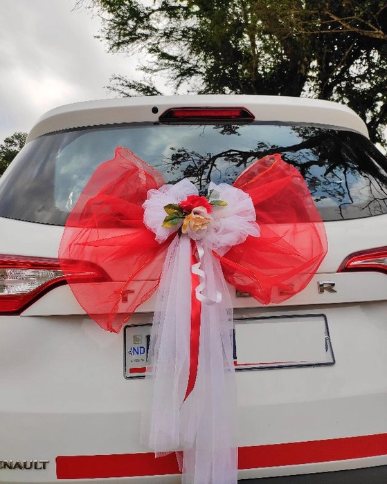 Red and White Flower Car Decoration Set ( Total 7 Items
