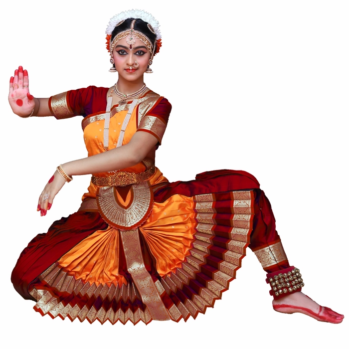 Indian dance costume, Bharatanatyam dance dress, Bharatanatyam dance costume