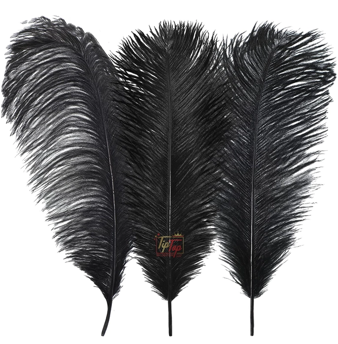 100 Pcs 12inch Dark Brown Turkey Feathers Turkey Round Quill Large Feathers  for Supply Decor Costume Supply 