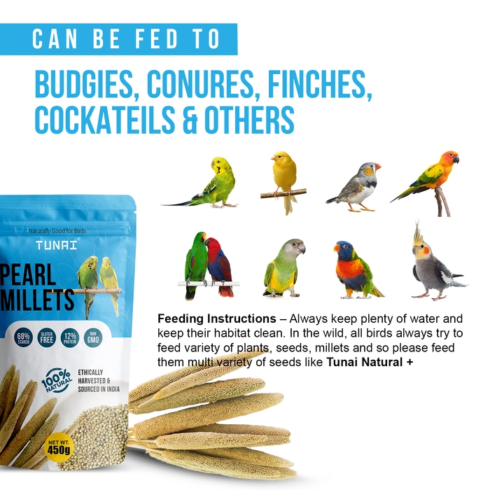 Tunai Pearl Millet | Perfect Bird Feed For Regulating Digestion, Easing Stress And Great Treat During Weaning And Breeding superior Bird Food For All Budgies, Finches, Cockatiels, Conures, Love