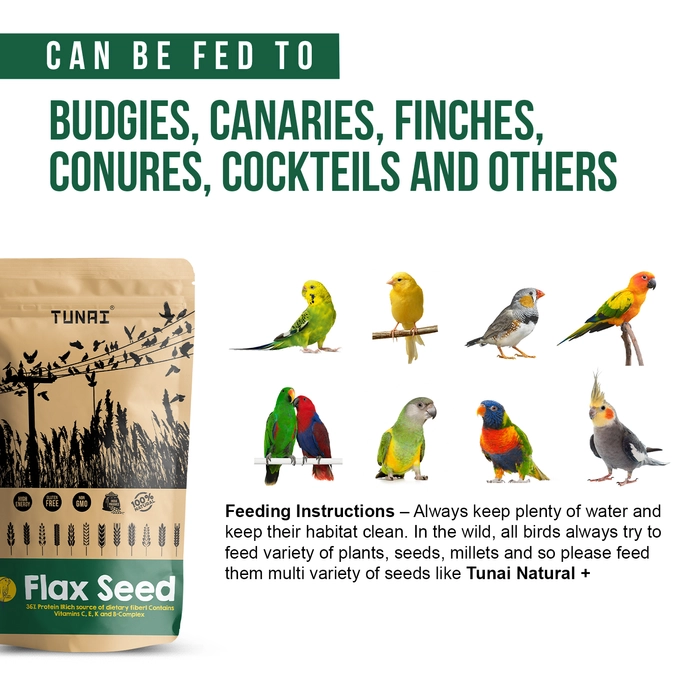 Tunai Flax Seeds Bird Feed |450g|Essential Bird Food For CANARIES, FINCHES, BUDGIES, PARAKEETS, PARROTLETS, CONURES, ECLECTUS, SENEGALS, CAIQUE PARROTS, COCKATIELS, SMALL CONURES, & QUAKER PARROTS, Ri