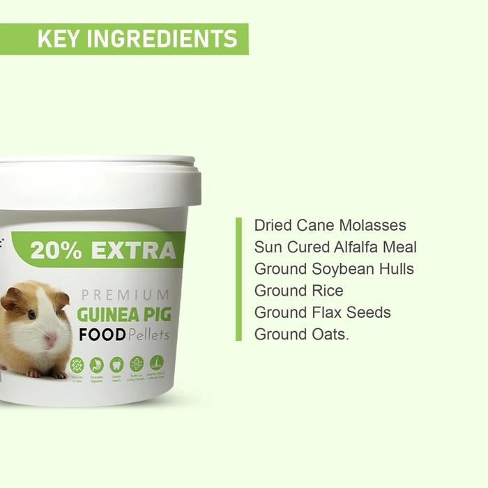 Tunai Guinea Pig Food with All Essential nutrients Premium Food for Guinea Pig and Mini Pig Food, 500g Plus 20% Extra