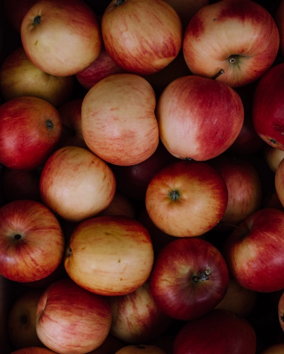 Old Apple Tree Co, Buy Organic Fresh Gala Apples
