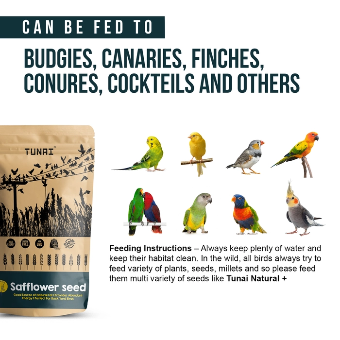 Tunai Safflower Seeds Bird Food | 450g | Perfect Bird Feed For CONURES, ECLECTUS, SENEGALS, CAIQUE PARROTS, COCKATEILS, SMALL CONURES, QUAKER PARROTS, AMAZONS, COCKATOOS, MACAWS, & GREY PARROTS Fortif