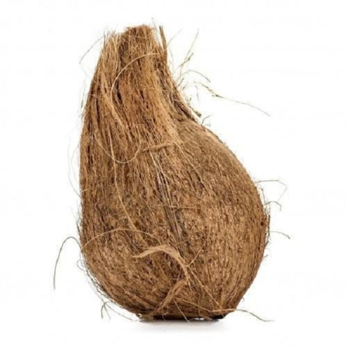 Coconut - 1 no