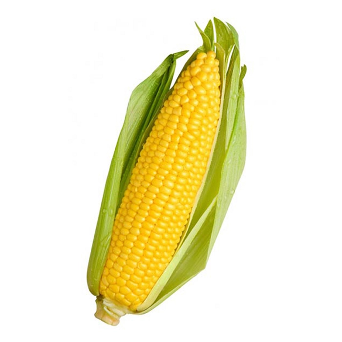 Corn (Sweet) - 1 no