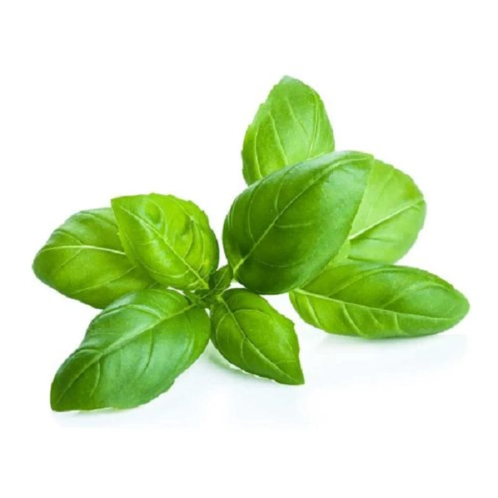 Basil (Italian) - 50 gms