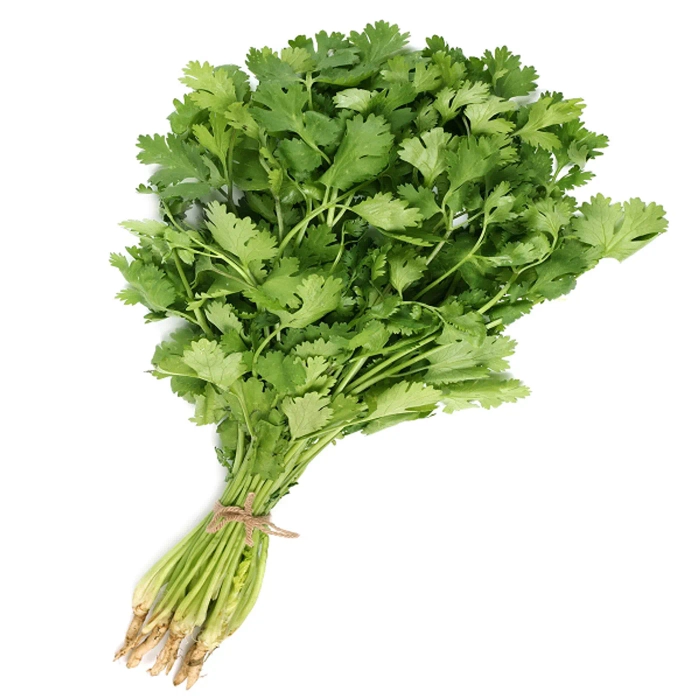 Coriander - 100 gms