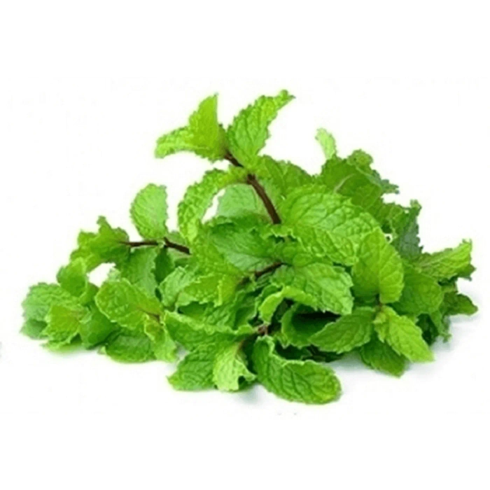 Mint - 100 gms