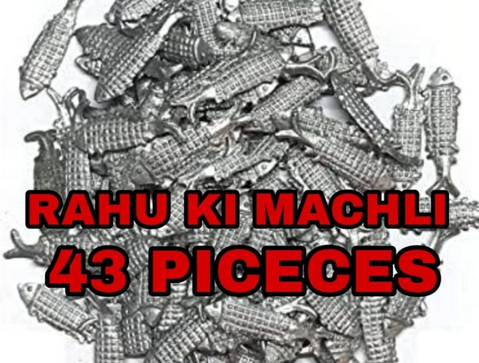 Rahu Ki MACHLI ( 43 PIECEC)