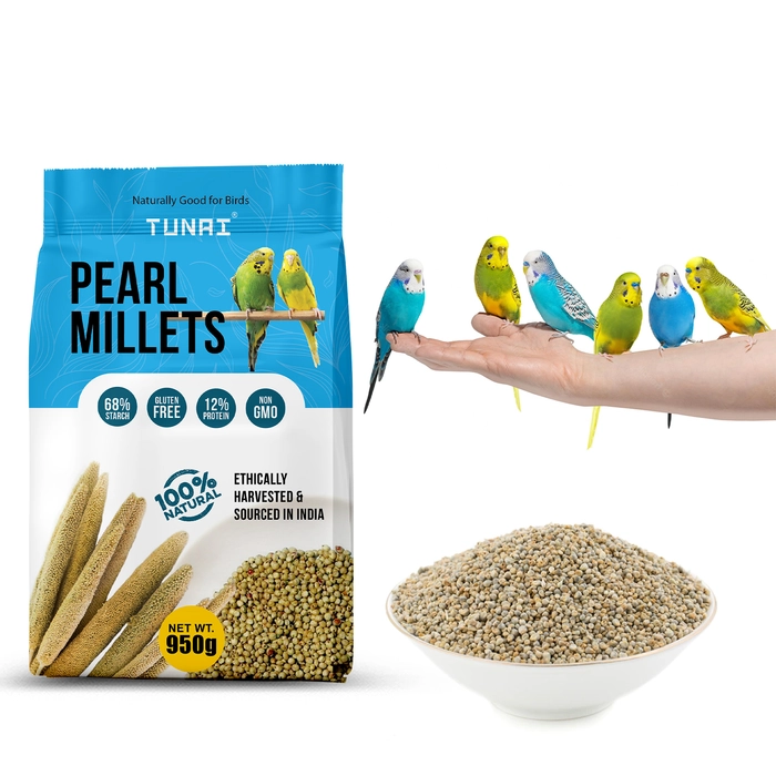 Tunai Pearl Millet | Perfect Bird Feed For Regulating Digestion, Easing Stress And Great Treat During Weaning And Breeding superior Bird Food For All Budgies, Finches, Cockatiels, Conures, Love