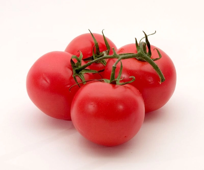 Tomato 🍅