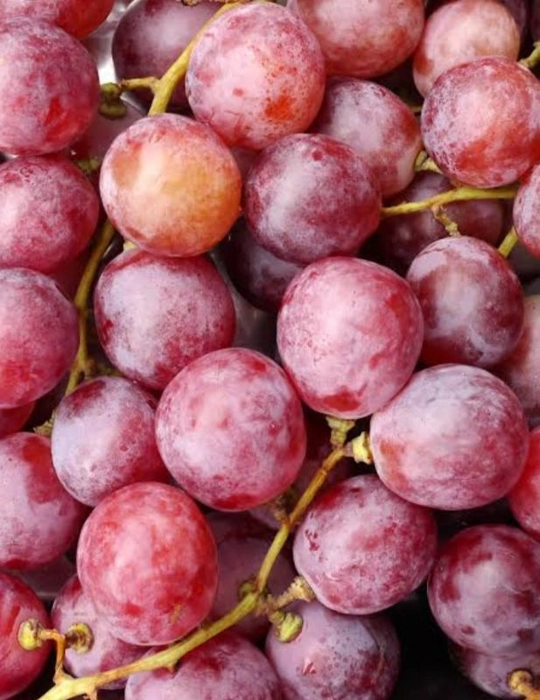 Red Grapes