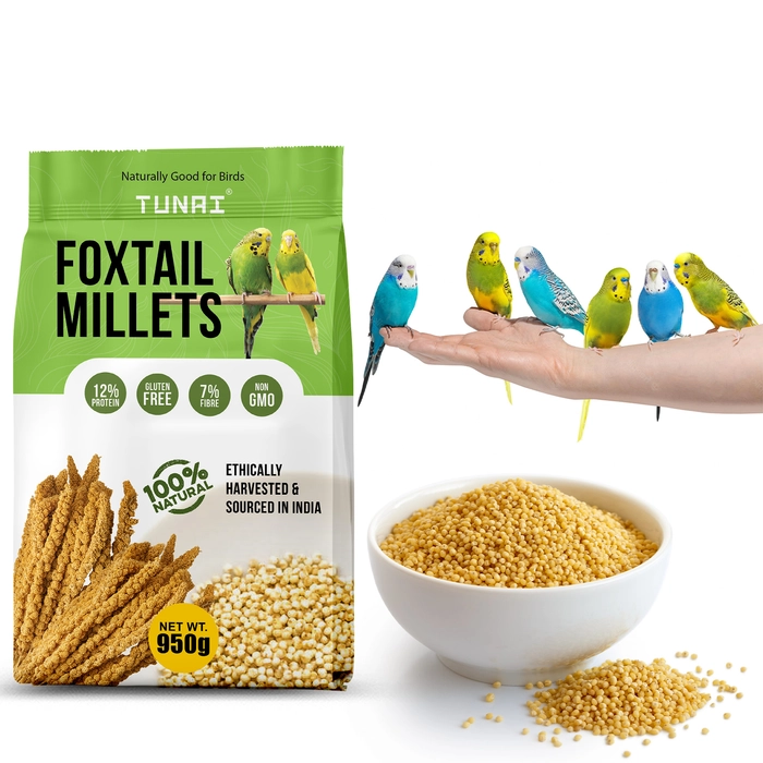 Tunai Bird Food Superior Foxtail Kangni Millets Feed for Lovebirds, Canaries, Cockatiels and Finches