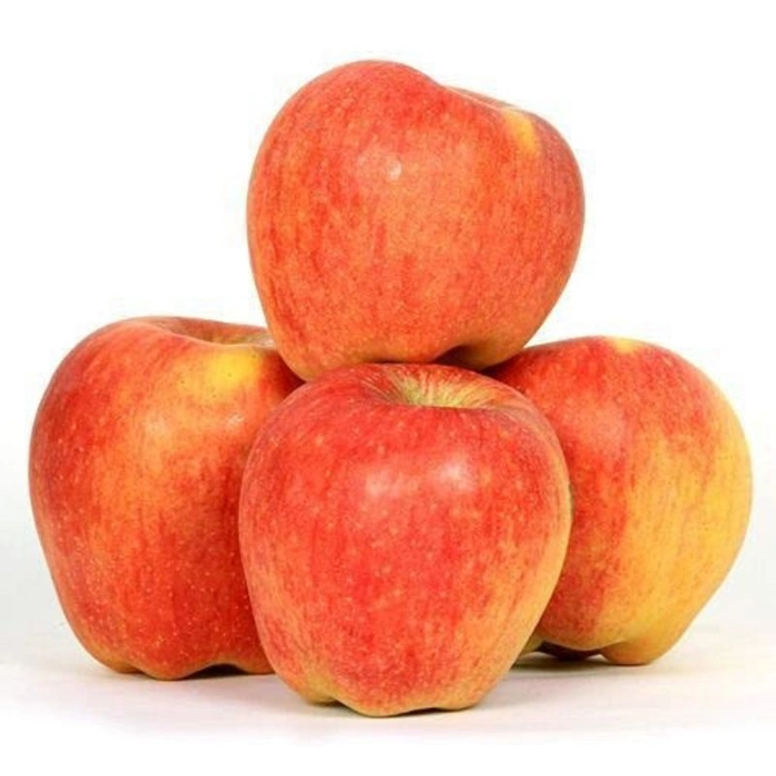 Apple 🍎
