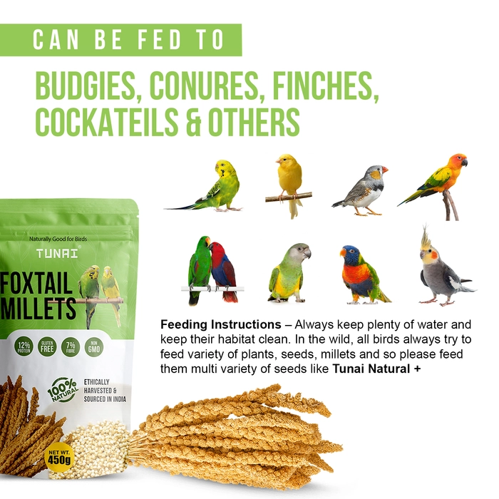 Tunai Bird Food Superior Foxtail Kangni Millets Feed for Lovebirds, Canaries, Cockatiels and Finches