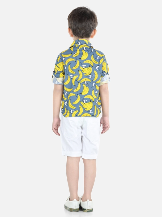 splideImage