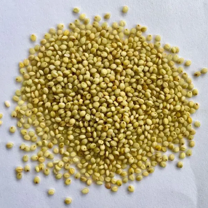 BROWN TOP MILLET/ छोटी कंगनी (ORGANIC ACRE)