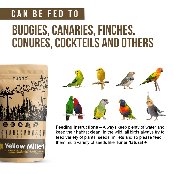 Tunai Yellow Millets Bird Feed |450g|Essential Bird Food For CANARIES, FINCHES, BUDGIES, PARAKEETS, PARROTLETS, CONURES, ECLECTUS, SENEGALS, CAIQUE PARROTS, COCKATIELS, SMALL CONURES, & QUAKER PARROTS