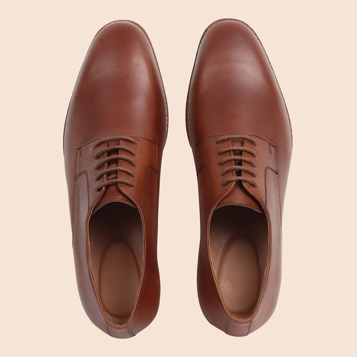 Classic Brown Derby Shoes | Leather Shoes | Casual & Formal Use for Men