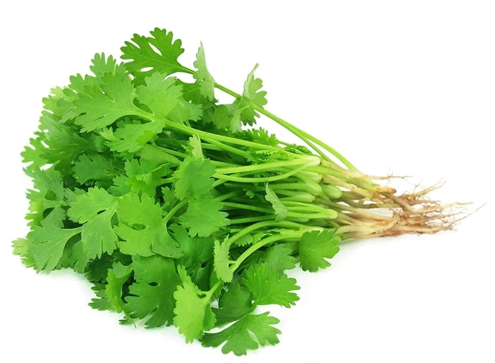 DHANIYA/CORIANDER (ORGANIC ACRE)