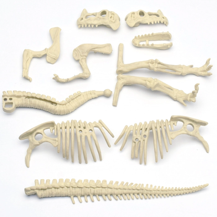 3D Dinosaur Bone Excavation Kit Early Devolvement Science Education Toy DIY Assembled Simulated Skeleton Mainan Pendidikan Tulang Dino Fossil Jurassic 3D Bones Skeleton