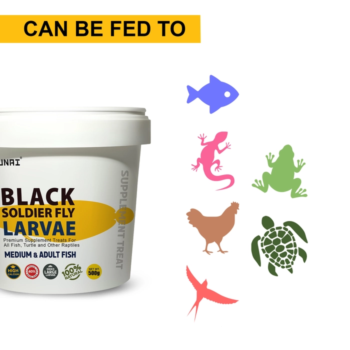 Tunai Black Soldier Fly Larvae Dried 60X More Calcium | 500g |, 40% Protein Rich Fish Food for Oscar, Arowana, Flowerhorn, Turtles & Other Reptiles of All Life Stages, Essential for Growth & Enhance C