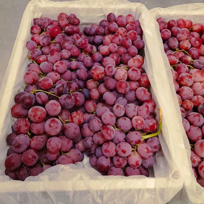 Red Globe Grapes from Chile | अंगूर