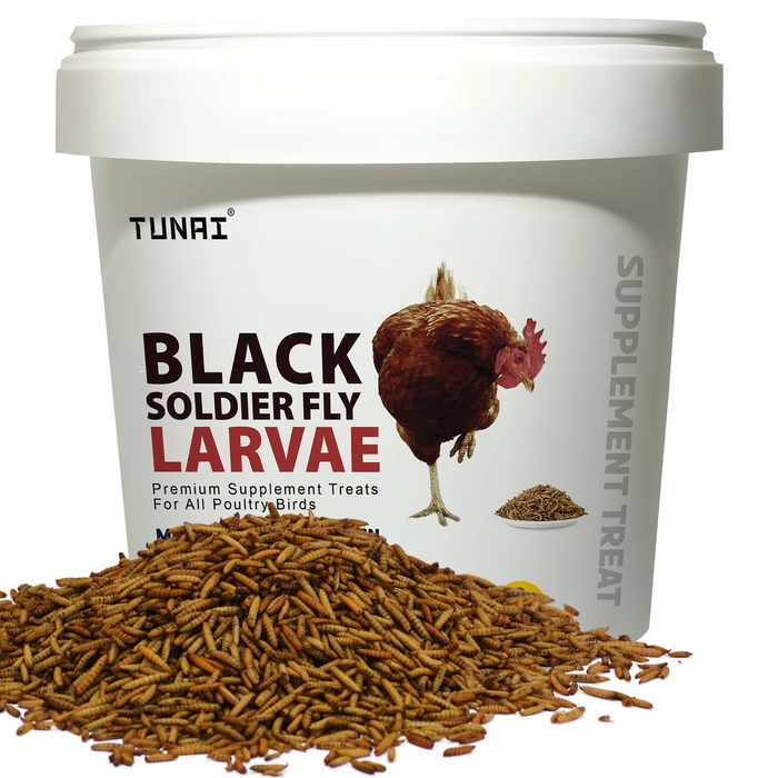 Tunai Black Soldier Larvae | 500g | 60X Calcium, Fortified with 40% Protein Treat for All Adult Chicken and Poultry Birds for Better Egg Shell Health and Growth