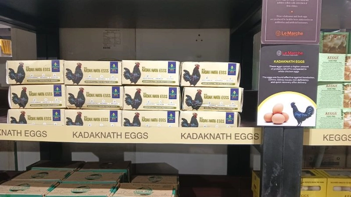 Premium Kadaknath Desi Organic Eggs
