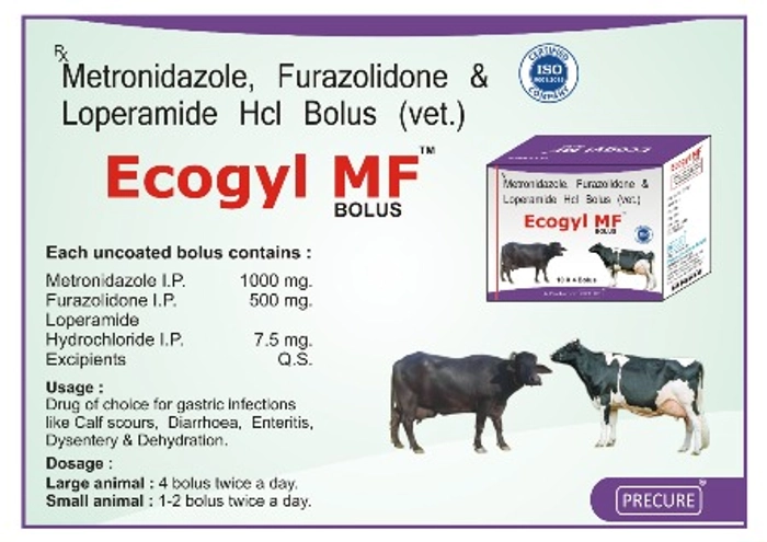 ECOGYL MF BOLUS 4's