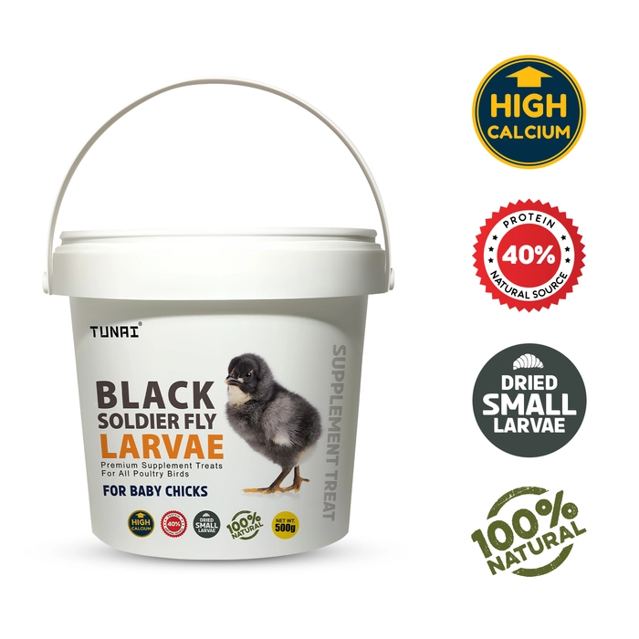 Tunai Black Soldier Larvae | 500g | 60X Calcium, Fortified with 40% Protein Energy, Natural Supplement Treat for Poultry, Hen, Chicken, cockBaby Chicken