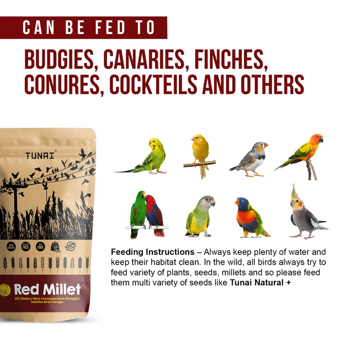 Tunai Red Millets Bird Feed | 450g |Essential Bird Food For CANARIES, FINCHES, BUDGIES, PARAKEETS, PARROTLETS, CONURES, ECLECTUS, SENEGALS, CAIQUE PARROTS, COCKATIELS, SMALL CONURES, & QUAKER PARROTS,