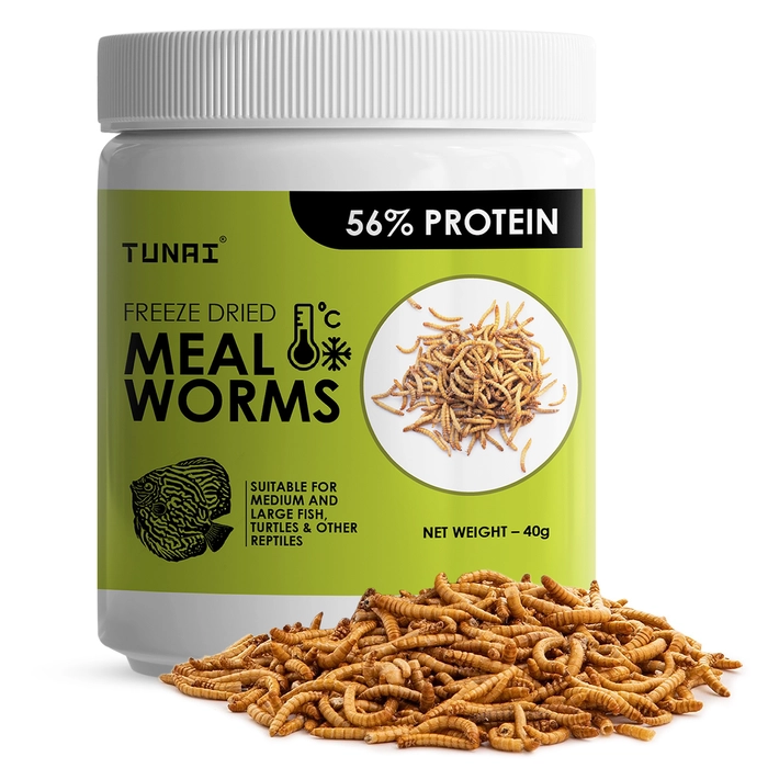 Tunai Freeze Dried Meal Worms |40g| Pefect Fish Food Treat for Medium and Large Size Aquarium Fish Like Arowana, Oscar, Red Parrot, Flower Horn, Can Be Also Fed to Turtle, Tortoize and Other Reptiles