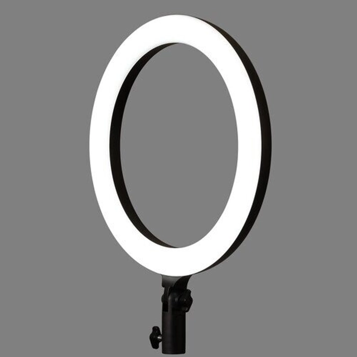 Godox LR120 Bi Color 12 Inches Ring Light Black