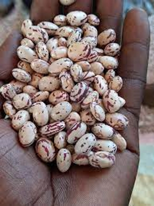 Masavu Beans