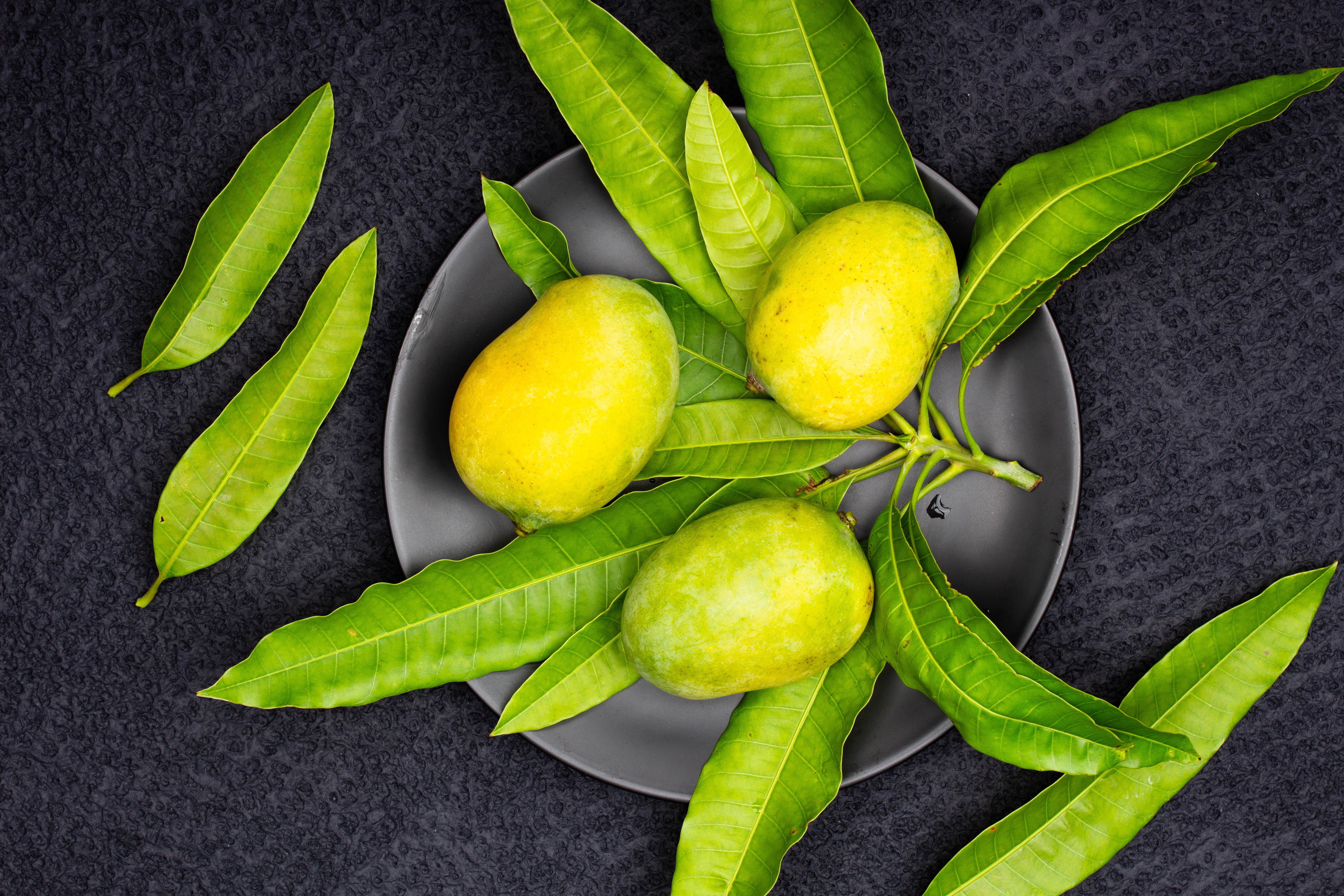 Mango Leaves for Gudi Padwa