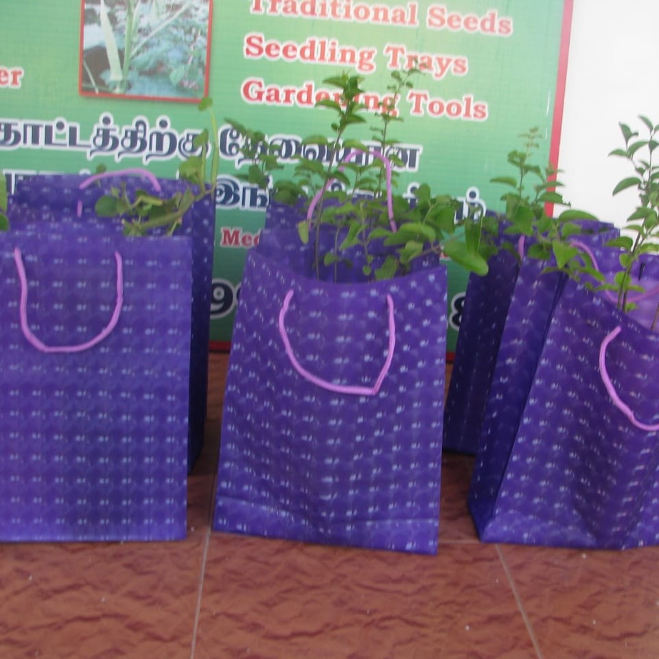 Gift A Plant in Madhapur,Hyderabad - Best Corporate Gift Manufacturers in  Hyderabad - Justdial