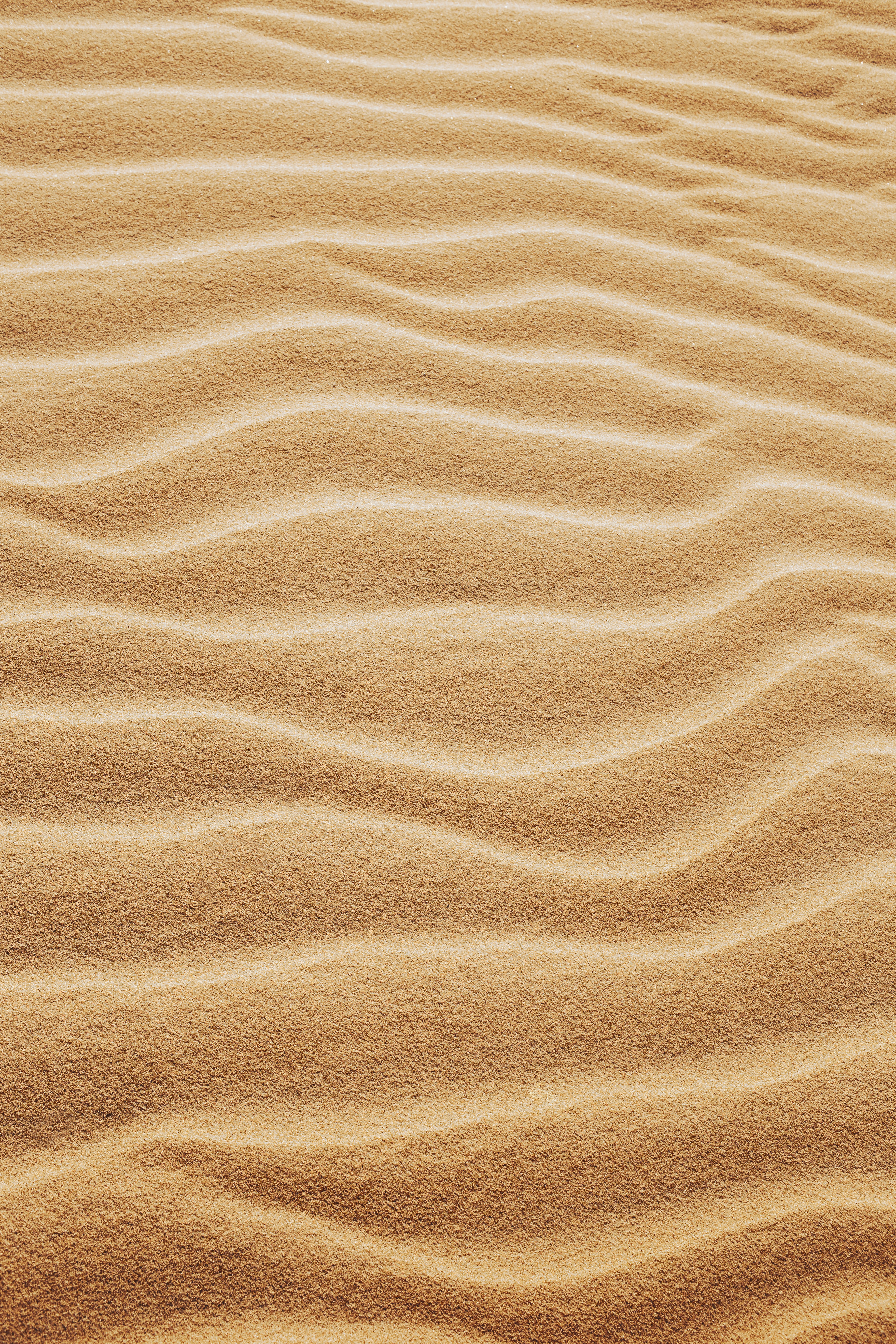 Danube Delta sand dunes