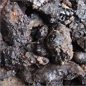 shilajit raw