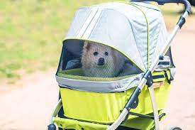 The Best Dog Stroller Reviewed: Pros, Cons, and Analysis - Veterinarians.org